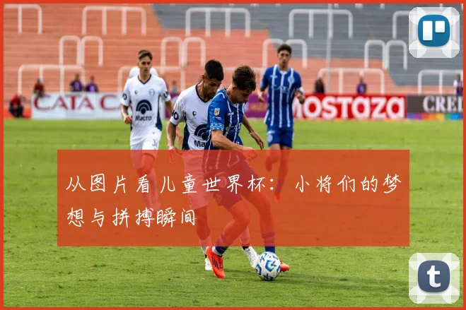 从图片看儿童世界杯：小将们的梦想与拼搏瞬间