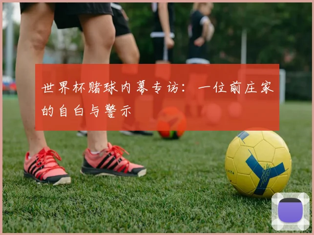 世界杯赌球内幕专访:一位前庄家的自白与警示