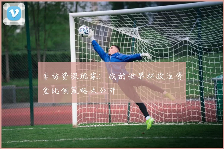 专访资深玩家：我的世界杯投注资金比例策略大公开