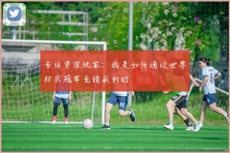 专访资深玩家:我是如何通过世界杯买冠军竞猜获利的